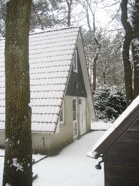 Ferienwohnung in Ommen (Overijssel) oder Ferienwohnung oder Ferienhaus