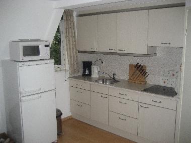 Ferienwohnung in Ommen (Overijssel) oder Ferienwohnung oder Ferienhaus