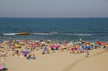 Villa in Orihuela costa (Alicante / Alacant) oder Ferienwohnung oder Ferienhaus