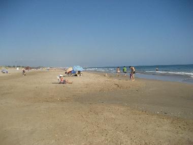 Villa in oliva (Valencia / Val�ncia) oder Ferienwohnung oder Ferienhaus