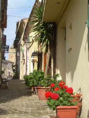 Eingang von der Gasse her