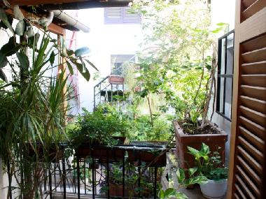 Ferienwohnung in Rome (Roma) oder Ferienwohnung oder Ferienhaus