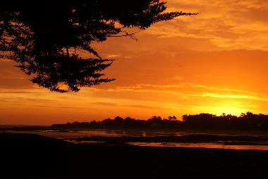 Ferienhaus in L'le-d'Yeu (Vende) oder Ferienwohnung oder Ferienhaus