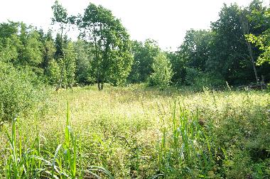 Ferienwohnung in Eutin Fissau (Holsteinische Schweiz) oder Ferienwohnung oder Ferienhaus
