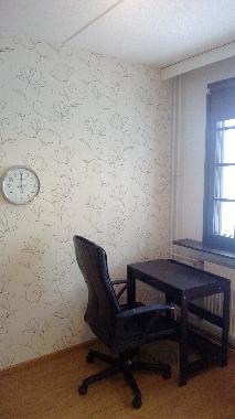 Ferienwohnung in Pohja (Etela-Suomen Laani) oder Ferienwohnung oder Ferienhaus