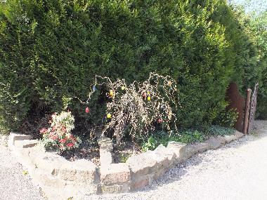 Ferienwohnung in KUHLENDORF (Bas-Rhin) oder Ferienwohnung oder Ferienhaus