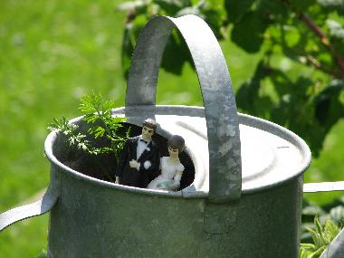 Ferienwohnung in KUHLENDORF (Bas-Rhin) oder Ferienwohnung oder Ferienhaus