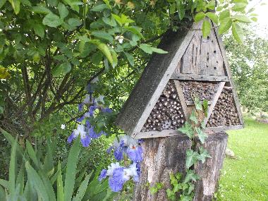 Ferienwohnung in KUHLENDORF (Bas-Rhin) oder Ferienwohnung oder Ferienhaus