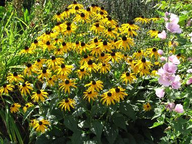 Ferienwohnung in KUHLENDORF (Bas-Rhin) oder Ferienwohnung oder Ferienhaus