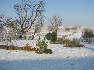 Ferienwohnung in KUHLENDORF (Bas-Rhin) oder Ferienwohnung oder Ferienhaus