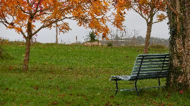 Villa in Tourtoirac (Dordogne) oder Ferienwohnung oder Ferienhaus