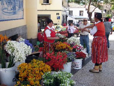 Ferienwohnung in Canico (Madeira) oder Ferienwohnung oder Ferienhaus