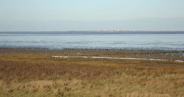 Deich, Salzwiesen, Watt mit Blick auf Wangeroge  200m vom Haus