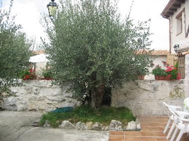 Ferienhaus in Canalejas de Peafiel (Valladolid) oder Ferienwohnung oder Ferienhaus