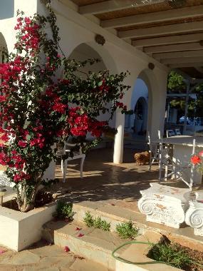 Villa in NEA MAKRI (Attiki) oder Ferienwohnung oder Ferienhaus