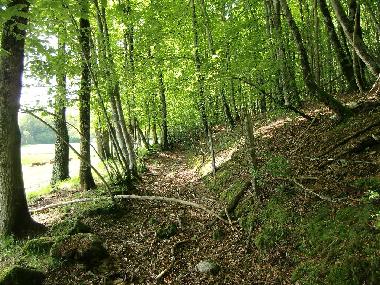 Chalet in Roum�goux (Cantal) oder Ferienwohnung oder Ferienhaus