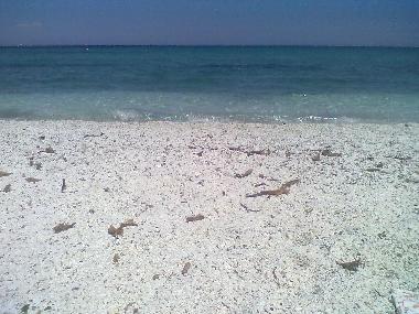 Ferienhaus in Stintino (Sassari) oder Ferienwohnung oder Ferienhaus