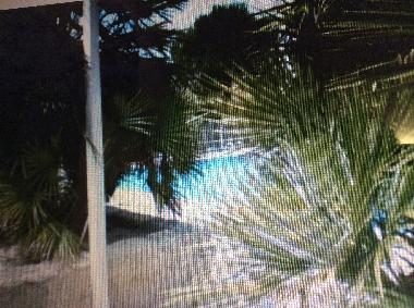 Villa in Valrasplage (H�rault) oder Ferienwohnung oder Ferienhaus