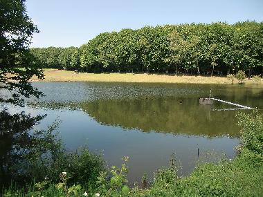Ferienhaus in Le Rouget (Cantal) oder Ferienwohnung oder Ferienhaus