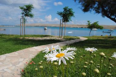 Ferienwohnung in Dinjiska (Zadarska) oder Ferienwohnung oder Ferienhaus