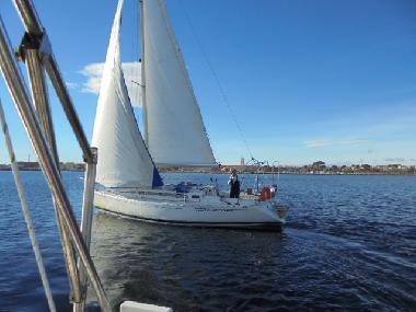 Ferienhaus in Marseillan (H�rault) oder Ferienwohnung oder Ferienhaus