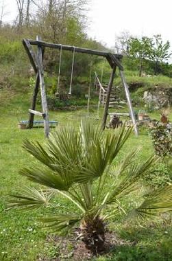 Ferienwohnung in Bicciano Talla (Arezzo) oder Ferienwohnung oder Ferienhaus