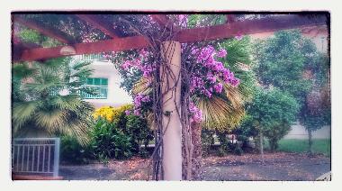 Ferienwohnung in SantaMaria (Sal) oder Ferienwohnung oder Ferienhaus