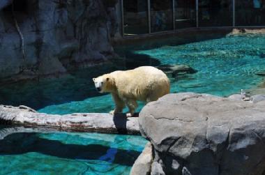 Zoo am Meer in direkter Nhe