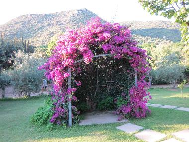 Villa in Torre delle Stelle (Cagliari) oder Ferienwohnung oder Ferienhaus