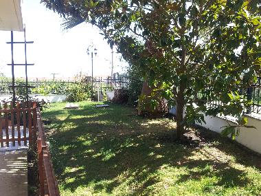 Ferienhaus in Kriopigi (Chalkidiki) oder Ferienwohnung oder Ferienhaus