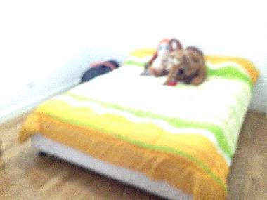 Ferienwohnung in Hostalric (Girona) oder Ferienwohnung oder Ferienhaus