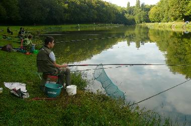 Ferienhaus in Castillon la Bataille (Gironde) oder Ferienwohnung oder Ferienhaus
