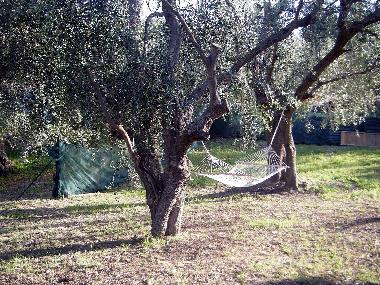 Ferienhaus in Diano Castello (Imperia) oder Ferienwohnung oder Ferienhaus