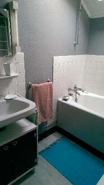 Ferienhaus in chambon sur lignon (Haute-Loire) oder Ferienwohnung oder Ferienhaus