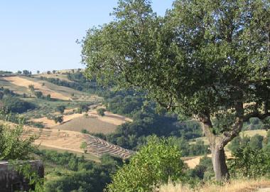 Ferienwohnung in Montebello di Bertona (Pescara) oder Ferienwohnung oder Ferienhaus