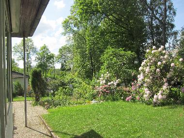 vorderer Gartenbereich