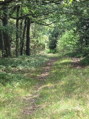 Wanderweg direkt ab Haus in die Natur
