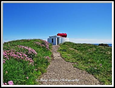 Ferienhaus in Isle of Man (North West) oder Ferienwohnung oder Ferienhaus