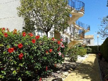 Ferienwohnung in Orihuela Costa (Alicante / Alacant) oder Ferienwohnung oder Ferienhaus