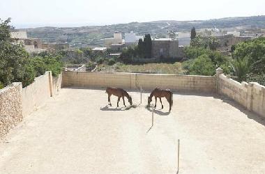 Villa in Xaghra (Gozo) oder Ferienwohnung oder Ferienhaus