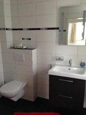 Ferienwohnung in Fiesch (Aletsch) oder Ferienwohnung oder Ferienhaus