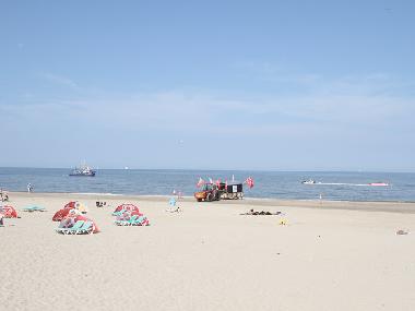 Ferienwohnung in Zandvoort (Noord-Holland) oder Ferienwohnung oder Ferienhaus