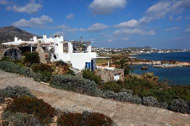 Villa in Drios (Kyklades) oder Ferienwohnung oder Ferienhaus