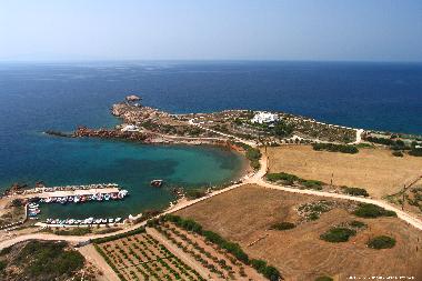 Villa in Drios (Kyklades) oder Ferienwohnung oder Ferienhaus