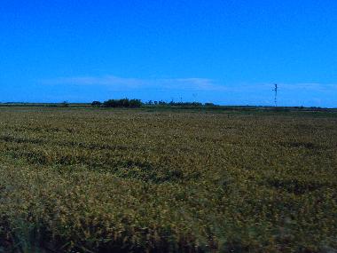 Ferienhaus in Deltebre/Riumar (Tarragona) oder Ferienwohnung oder Ferienhaus