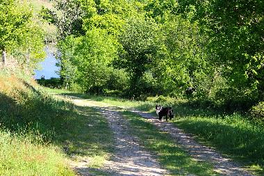 Ferienhaus in Lapeyrouse (Puy-de-Dme) oder Ferienwohnung oder Ferienhaus