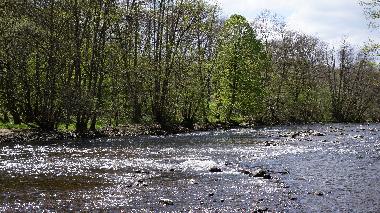 Ferienhaus in Lapeyrouse (Puy-de-Dme) oder Ferienwohnung oder Ferienhaus