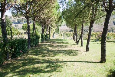 Pension in Rimini (Rimini) oder Ferienwohnung oder Ferienhaus