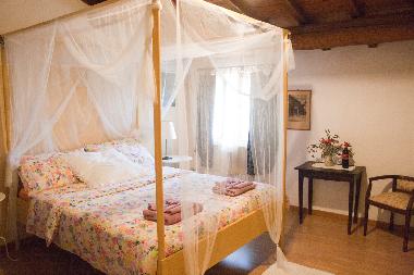 Pension in Rimini (Rimini) oder Ferienwohnung oder Ferienhaus