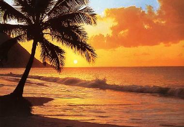 Villa in Legian  (Bali) oder Ferienwohnung oder Ferienhaus